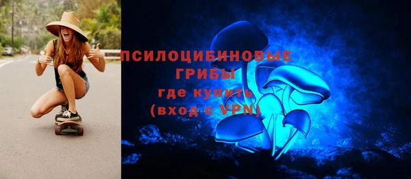 Альфа ПВП Армянск
