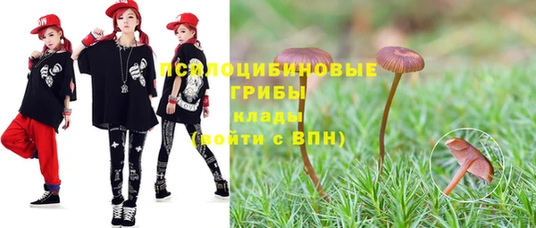 гашик Слюдянка