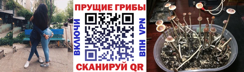 Псилоцибиновые грибы ЛСД  Волхов 