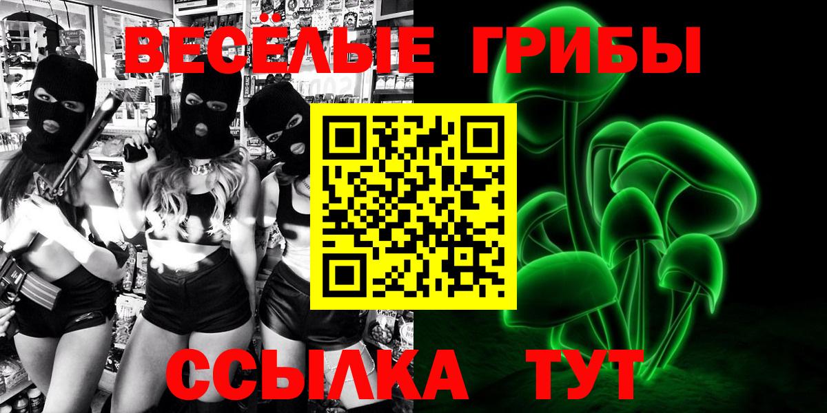 ТГК Волхов
