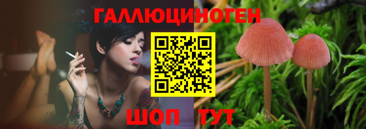 Галлюциногенные грибы Magic Shrooms Волхов